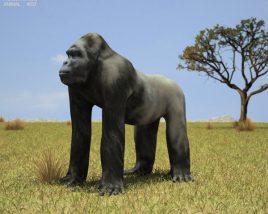 Gorilla Low Poly 3D 모델 