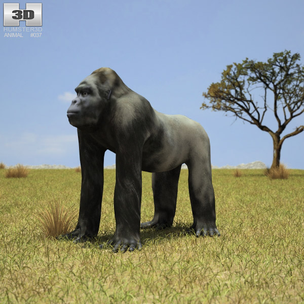 Gorilla Low Poly 3D model