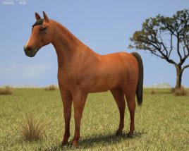 Horse Low Poly 3D model