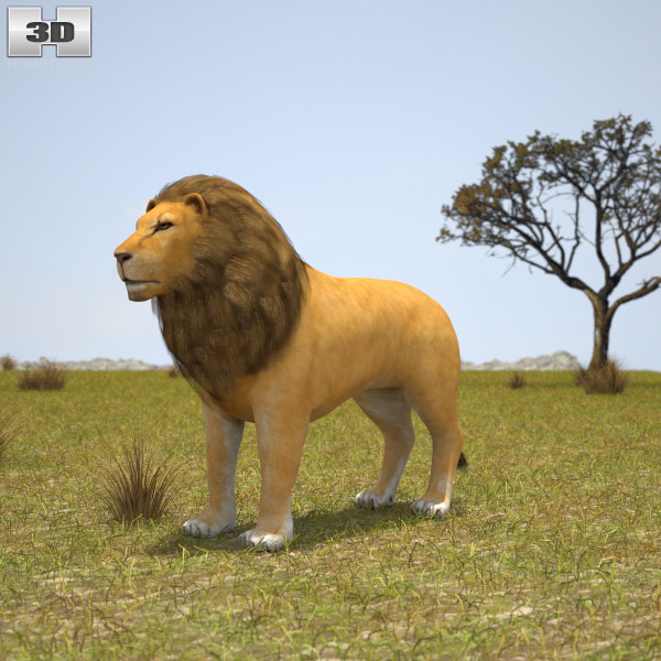 Lion Low Poly 3D model