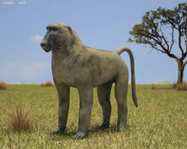 Baboon Low Poly Modello 3D