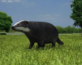 Badger Low Poly 3D модель
