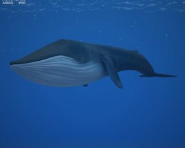 Blue whale Low Poly Modèle 3D
