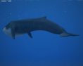 Blue whale Low Poly 3d model