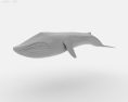 Blue whale Low Poly 3d model