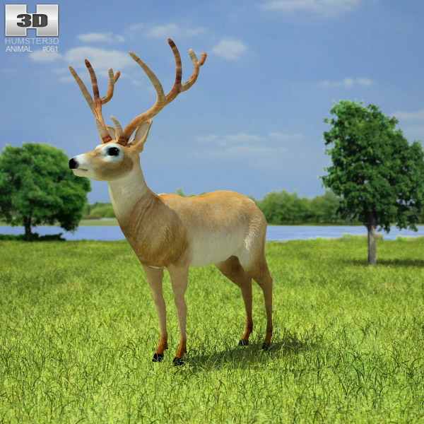 Deer Low Poly 3D model