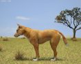 Dingo Low Poly 3d model