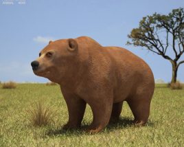 Grizzly Bear Low Poly Modèle 3D