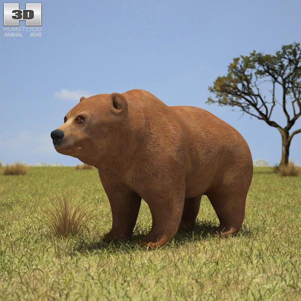 Grizzly Bear Low Poly 3d model