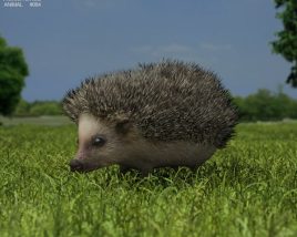 Hedgehog Low Poly 3D 모델 