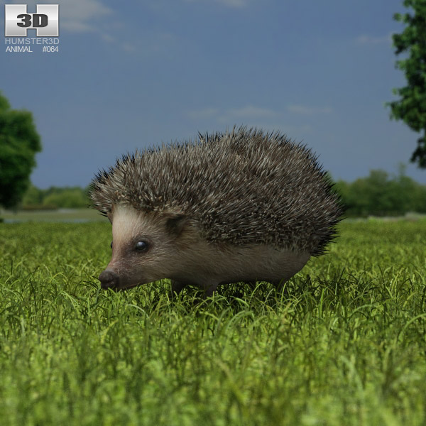 Hedgehog Low Poly 3d model