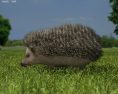 Hedgehog Low Poly 3d model