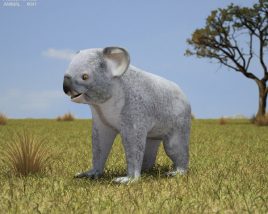 Koala Low Poly Modelo 3D