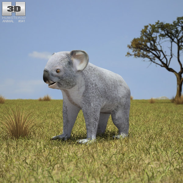 Koala Low Poly 3D model