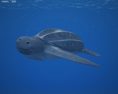 Leatherback Sea Turtle Low Poly 3d model