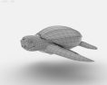 Leatherback Sea Turtle Low Poly 3d model
