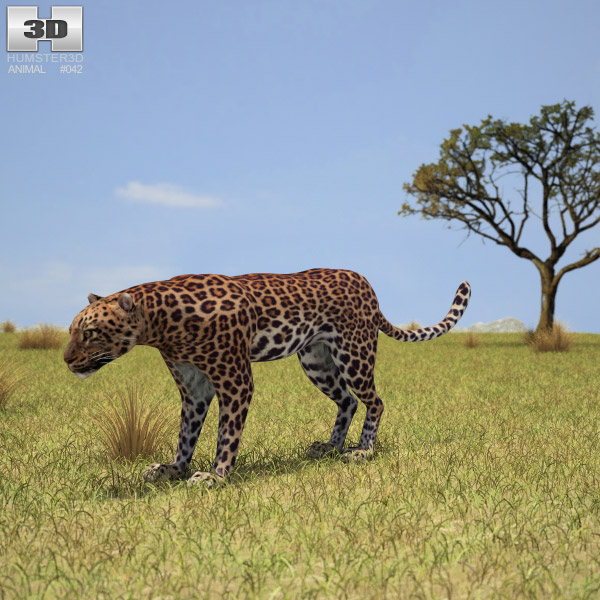 Leopard Low Poly 3D model