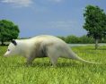 Opossum Low Poly 3d model