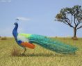 Peacock Low Poly 3d model