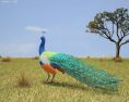 Peacock Low Poly 3d model