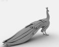 Peacock Low Poly 3d model
