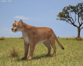 Puma Low Poly 3Dモデル