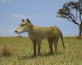 Thylacine Low Poly 3d model