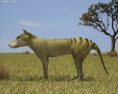 Thylacine Low Poly 3d model