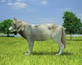 Wolf Low Poly 3d model