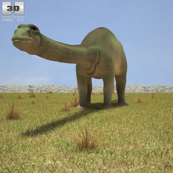 Apatosaurus (Brontosaurus) Low Poly Modèle 3D
