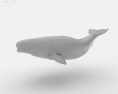 Beluga whale Low Poly 3d model