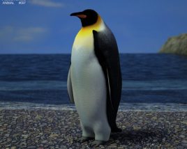 Emperor penguin Low Poly Modelo 3d