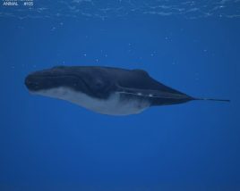 Humpback whale Low Poly Modèle 3D