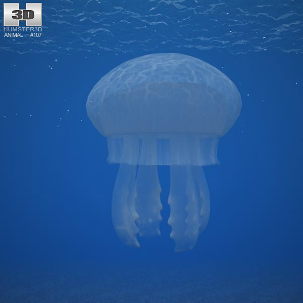 Jellyfish Low Poly Modelo 3d