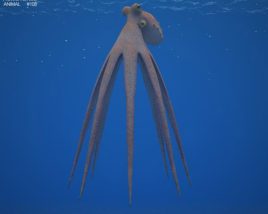 Octopus Low Poly 3D模型
