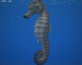 Seahorse Low Poly 3D model