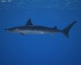 Smooth Hammerhead Shark Low Poly 3d model