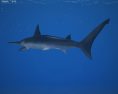 Smooth Hammerhead Shark Low Poly 3d model