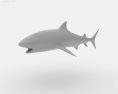 Tiger shark Low Poly 3d model