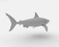 Great White Shark Low Poly 3d model