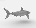 Great White Shark Low Poly 3d model
