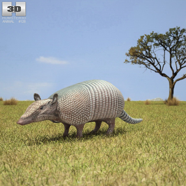 Armadillo Low Poly 3D model