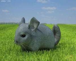 Chinchilla Low Poly 3D model