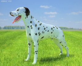 Dalmatian Low Poly 3D模型