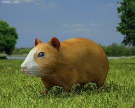 Hamster Low Poly 3D модель