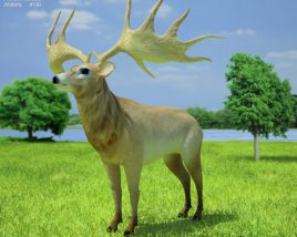 Irish Elk Low Poly 3D-Modell