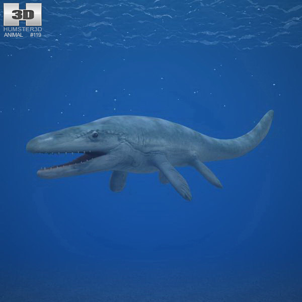 Mosasaurus Low Poly 3d model