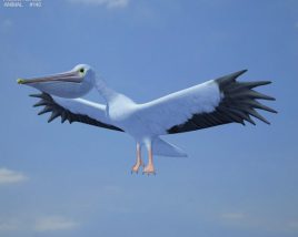 Pelican Low Poly 3D模型