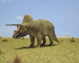 Triceratops Low Poly Modèle 3D