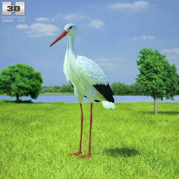 White stork Low Poly 3d model